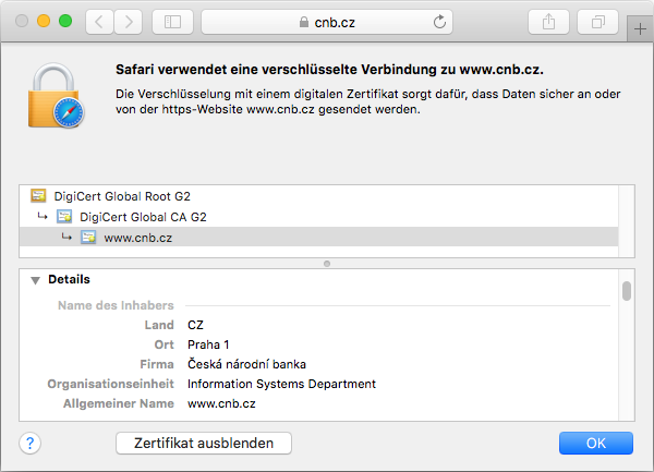 Darstellung des Zertifikats Secure Site Pro Wildcard im Browser