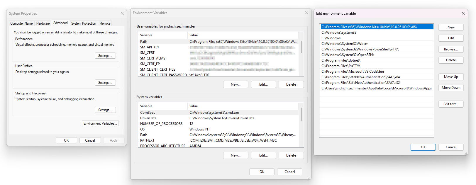 Hinzufügen von Variablen über das Windows-GUI